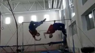 Samarsky Brothers The art of GIMBARR)