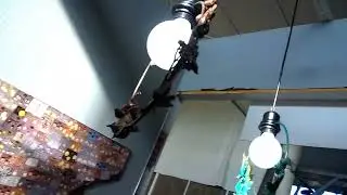 АВТОРСКИЕ ЛЮСТРЫ ИЗ ЖИВЫХ ЦВЕТОВ ОТ ДМ 
