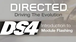 Intro to Flashing DS3/DS4