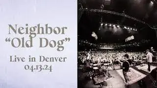 Neighbor - Old Dog (Official Lyric Video)