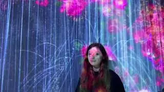 Japan 2019: Digital Art Museum