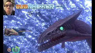 Subnautica 13 - Bulb Bush Zone