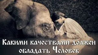 Какими качествами должен облaдать Человек
