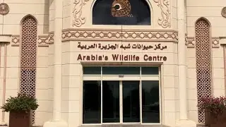 Arabian Wild life Animal Zoo Sharja