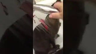 Наш выпускник Дарвин большой любитель водных процедур