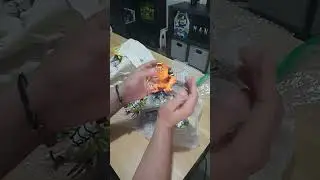 Directo Tiktok (24 de marzo 2024)