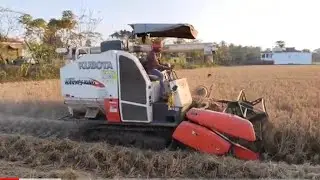 Kubota mini chain paddy harvester, Kubota caterpillar track DC68G harves king,farm machinery