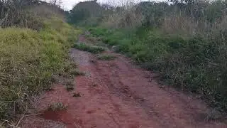 Espíritos se aproximaram de mim na floresta.