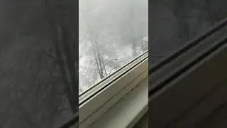 17 апреля / Вербное Воскресенье.