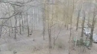Природа даёт прикурить.