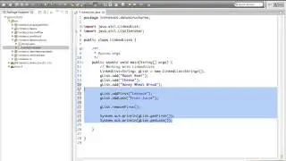 09   LinkedList & The Iterator
