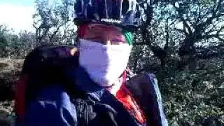 Freedom 11 - Lehana's