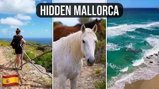 🇪🇸 Hiking to a hidden beach - National Park - Mallorca - Peninsula Llevante