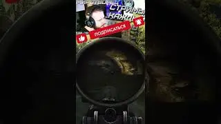 ЖИВУЧАЯ БАБОЧКА ! 