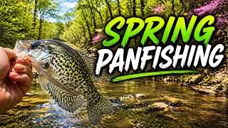 First Cast Crappie… Then The Sunfish INVADED