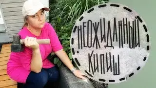 Секреты пересадки🍀Завышенная клумба🍀 Расстояние между растениями🍀 Кто я по профессии?🍀