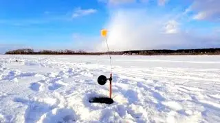 TIP-UP FISHING POLES FOR PIKE IN ANY CONDITIONS