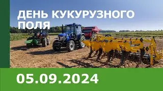 «День Кукурузного поля – 2024»