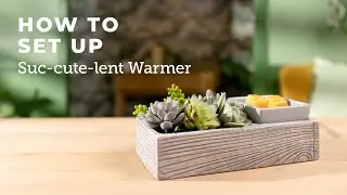 How to set up and style the Suc-cute-lent Warmer | Scentsy