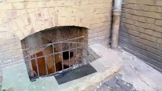 #Допотопный дом в Калининграде (Кёнигсберге)