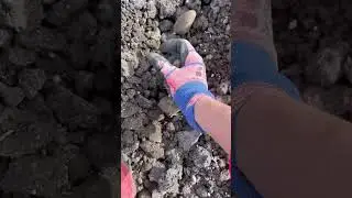 Один день с Лерой в станице 🤗