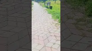 Паркте сорып бердім ☺️