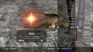 Killing M'aiq the Liar in Skyrim