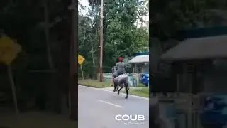 Сяду на коня и ускачу куда-то в ебеня, мужик скачет на коне, прикол, smile)