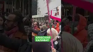 Арабский Нью-Йорк. Город окрашен в Палестину
