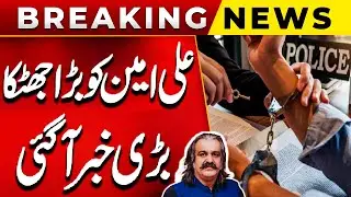 Ali Ameen Arrested | Shocking News For PTI | Big News For KPK | Court Final Decision | PUBLIC NEWS