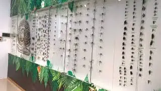Bảo tàng Cúc Phương