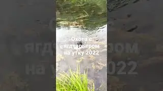 20 августа 2022 г.