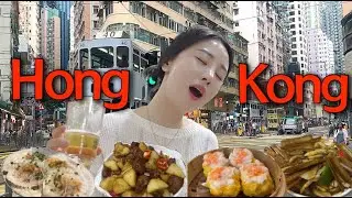 2박3일 홍콩여행 ✈️ㅣ맥주가 겁나 땡긴다ㅣ최애 딤섬 맛집 | 홍콩 야시장의 맛ㅣ풍자 또간집 홍콩편ㅣ백종원 애문생ㅣ아이콘 호텔ㅣ오이스터바ㅣ익청빌딩ㅣ미드레벨 에스컬레이터