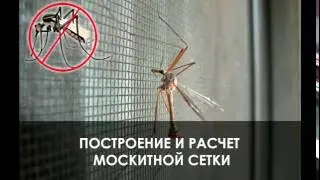Построение москитной сетки в программе Steko