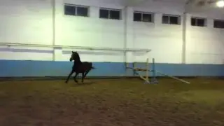 Гелиос 