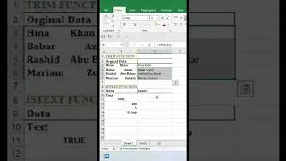 Excel Formulas: Trim and Istext Function|| Excel Shorts