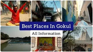 Raman Reti Mandir | Gokul ki Galiya | 5 Days Brajdham Yatra 2024 | Day 3 | Bhavin Prajapati Vlogs