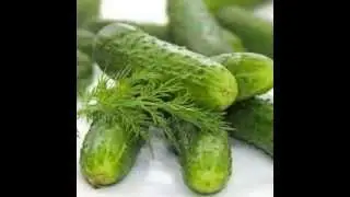 Зимой об овощах