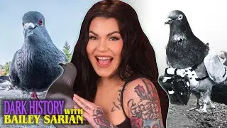did you know pigeons were once our most loyal friends?  | Dark History of Pigeons
