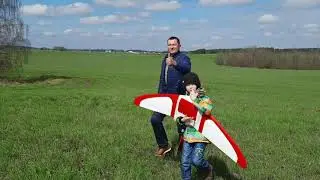 Стайки_БПЛА