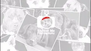 Shelter Me Photography   Changing Minds By Touching Hearts