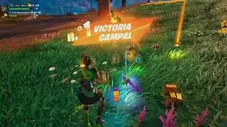 El POV de un amigo salvando la partida | Fortnite