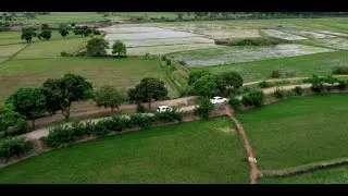 FERREÑAFE CHICLAYO PERU, CAMPOS DE CULTIVO