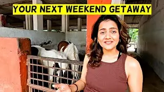 Learn Horse Riding Near Mumbai | Japalouppe | Two Off To