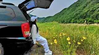 Home is where the car stops
