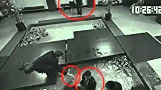 Michael fell into the Koi Pond himself?