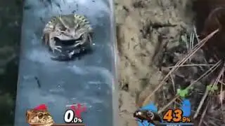 Super Smash Bro's Nature.