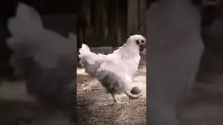 🤫😏