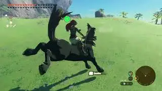 this horse is beautiful ( Zelda Tears of the Kingdom)