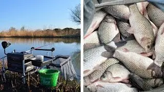 Штекерная ловля карася. Улов 21 кг.